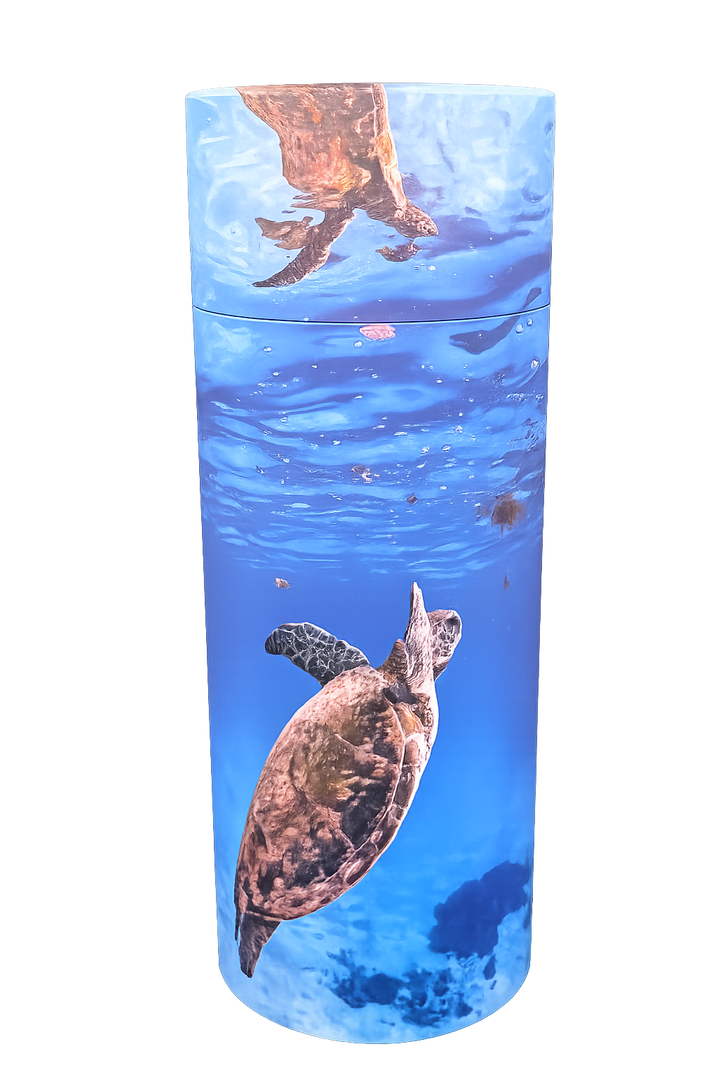 Sea Turtle Scatter Urn
